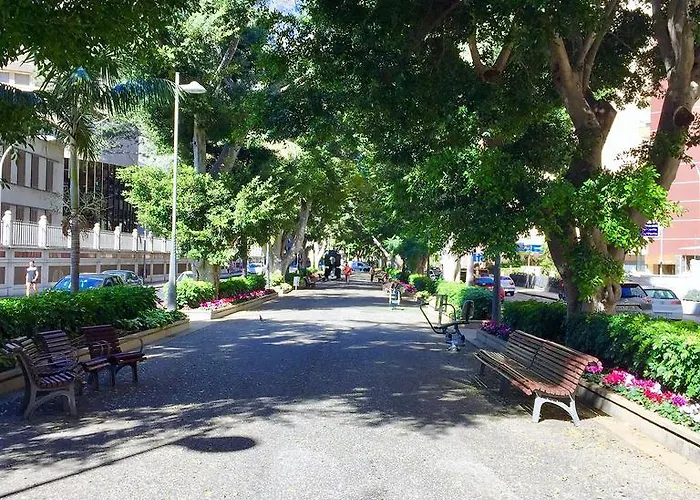 En La Rambla Con Piscina 산타크루스데 테네리페