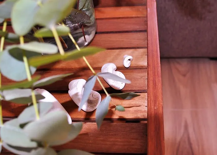 En La Rambla Con Piscina