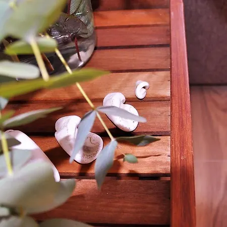 En La Rambla Con Piscina